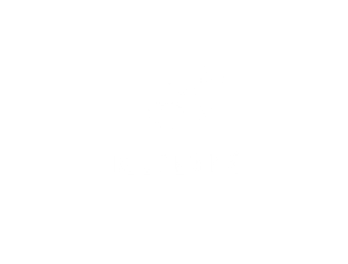 METEORS